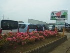 除草・清掃活動