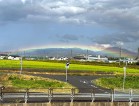 恵の雨～☔✨