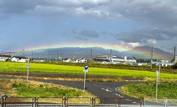 ニュース一覧へ